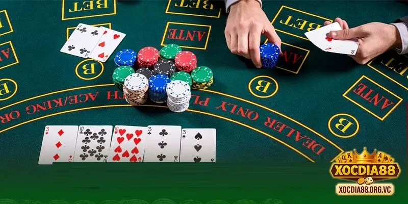 Lý do tại sao chơi xóc đĩa online toàn thua